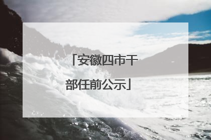 安徽四市干部任前公示
