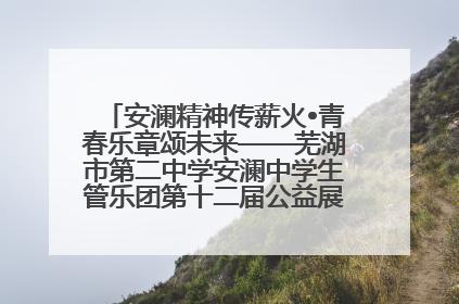 安澜精神传薪火•青春乐章颂未来——芜湖市第二中学安澜中学生管乐团第十二届公益展演圆满举行