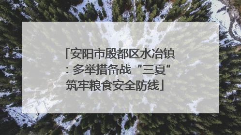 安阳市殷都区水冶镇：多举措备战“三夏” 筑牢粮食安全防线