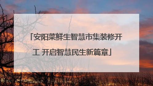 安阳菜鲜生智慧市集装修开工 开启智慧民生新篇章
