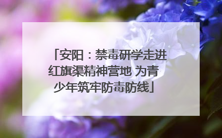 安阳：禁毒研学走进红旗渠精神营地 为青少年筑牢防毒防线