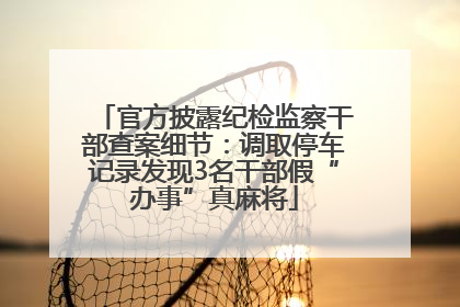 官方披露纪检监察干部查案细节：调取停车记录发现3名干部假“办事”真麻将