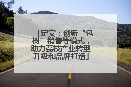 定安：创新“包树”销售等模式，助力荔枝产业转型升级和品牌打造