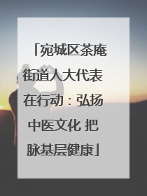 宛城区茶庵街道人大代表在行动：弘扬中医文化 把脉基层健康