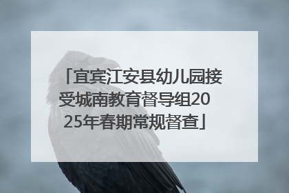 宜宾江安县幼儿园接受城南教育督导组2025年春期常规督查