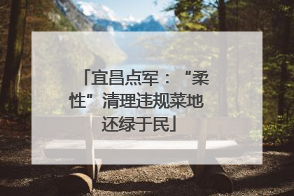 宜昌点军：“柔性”清理违规菜地 还绿于民