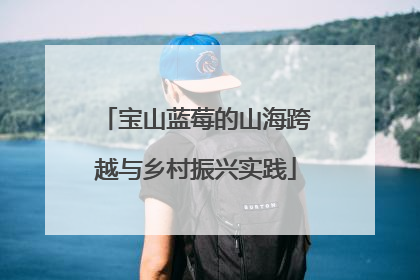宝山蓝莓的山海跨越与乡村振兴实践