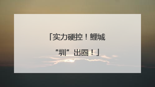 实力硬控！鲤城“圳”出圈！