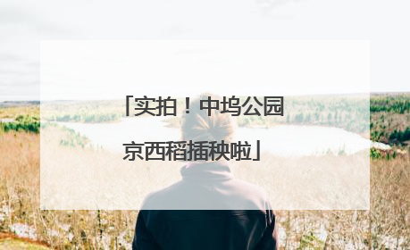 实拍！中坞公园京西稻插秧啦