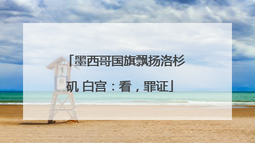 墨西哥国旗飘扬洛杉矶 白宫：看，罪证