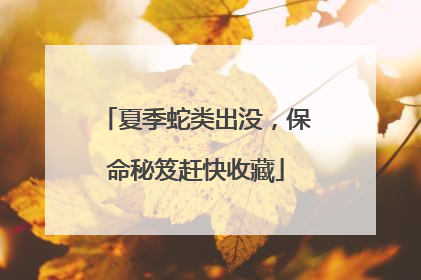 夏季蛇类出没，保命秘笈赶快收藏