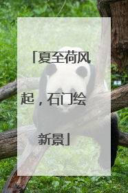 夏至荷风起，石门绘新景