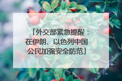 外交部紧急提醒：在伊朗、以色列中国公民加强安全防范