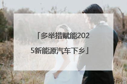多举措赋能2025新能源汽车下乡