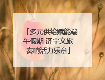 多元供给赋能端午假期 济宁文旅奏响活力乐章