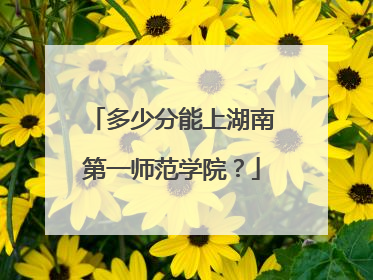 多少分能上湖南第一师范学院？