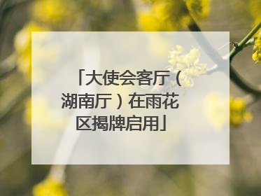 大使会客厅（湖南厅）在雨花区揭牌启用