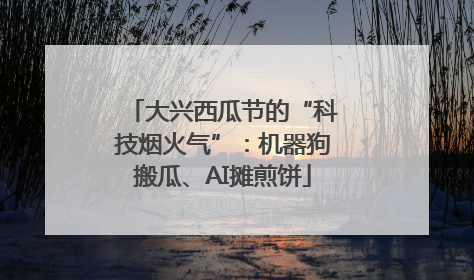 大兴西瓜节的“科技烟火气”：机器狗搬瓜、AI摊煎饼