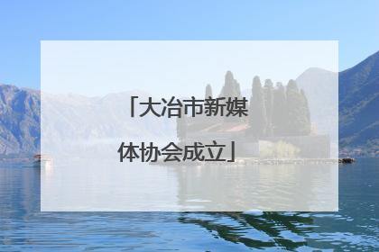 大冶市新媒体协会成立