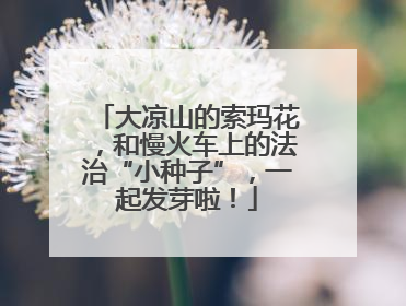 大凉山的索玛花，和慢火车上的法治“小种子”，一起发芽啦！