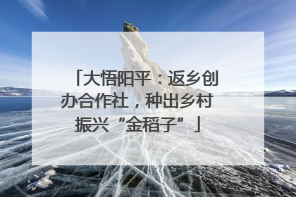 大悟阳平：返乡创办合作社，种出乡村振兴“金稻子”