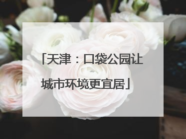 天津：口袋公园让城市环境更宜居