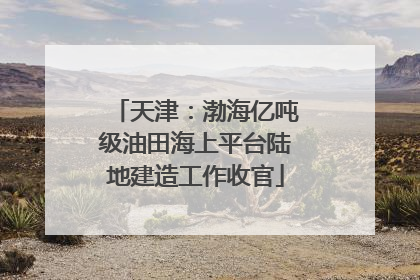 天津：渤海亿吨级油田海上平台陆地建造工作收官