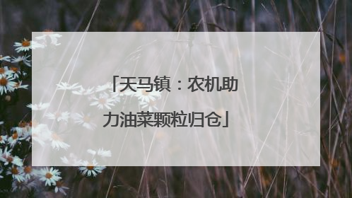 天马镇：农机助力油菜颗粒归仓