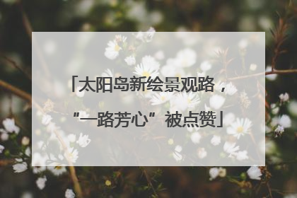 太阳岛新绘景观路，“一路芳心”被点赞