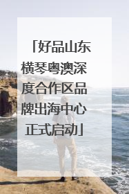 好品山东横琴粤澳深度合作区品牌出海中心正式启动