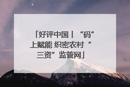 好评中国丨“码”上赋能 织密农村“三资”监管网