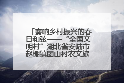奏响乡村振兴的春日和弦——“全国文明村”湖北省安陆市赵棚镇团山村农文旅融合发展见闻