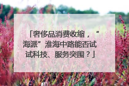 奢侈品消费收缩，“海派”淮海中路能否试试科技、服务突围？