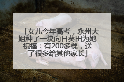 女儿今年高考，永州大姐种了一块向日葵田为她祝福：有200多棵，送了很多给其他家长
