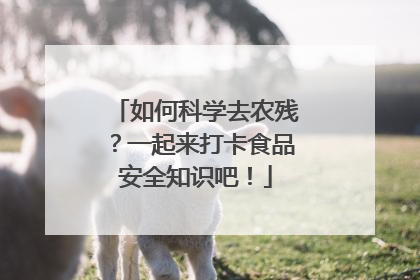 如何科学去农残？一起来打卡食品安全知识吧！
