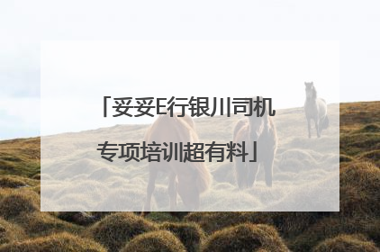 妥妥E行银川司机专项培训超有料