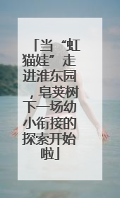 当“虹猫娃”走进淮东园，皂荚树下一场幼小衔接的探索开始啦