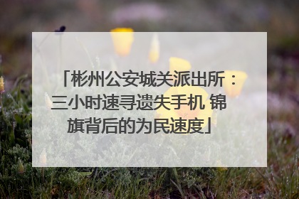 彬州公安城关派出所：三小时速寻遗失手机 锦旗背后的为民速度