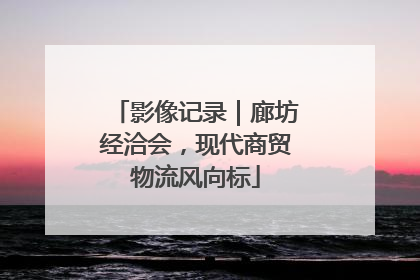影像记录｜廊坊经洽会，现代商贸物流风向标