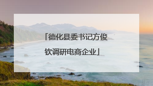 德化县委书记方俊钦调研电商企业