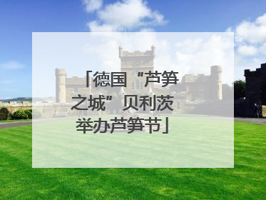 德国“芦笋之城”贝利茨举办芦笋节