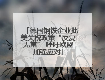 德国钢铁企业批美关税政策“反复无常” 呼吁欧盟加强应对