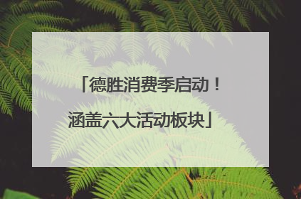 德胜消费季启动！涵盖六大活动板块
