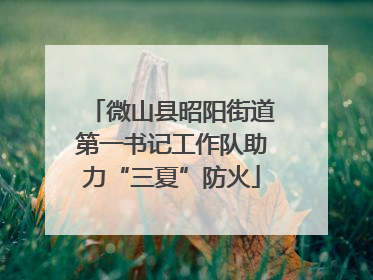 微山县昭阳街道第一书记工作队助力“三夏”防火