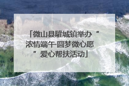 微山县驩城镇举办“浓情端午·圆梦微心愿”爱心帮扶活动