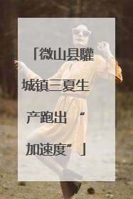微山县驩城镇三夏生产跑出 “加速度”