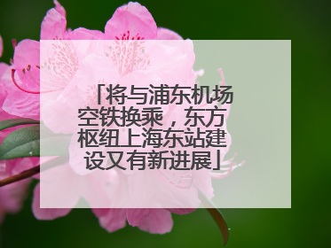 将与浦东机场空铁换乘，东方枢纽上海东站建设又有新进展