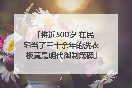 将近500岁 在民宅当了三十余年的洗衣板竟是明代御制箴碑