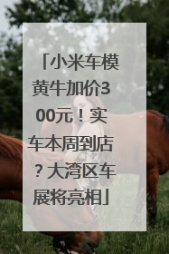 小米车模黄牛加价300元！实车本周到店？大湾区车展将亮相