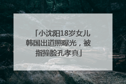 小沈阳18岁女儿韩国出道照曝光，被指撞脸孔孝真